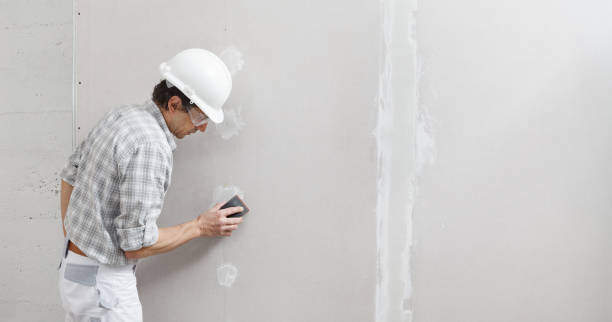 Best Air Quality Testing for Mold Spores  in Pleasant Grove, OH