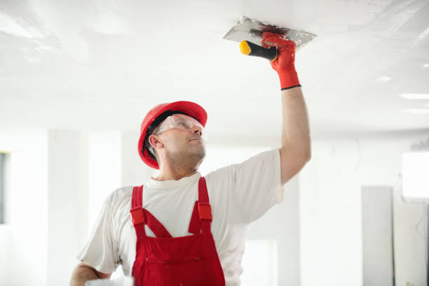 Best Mold Remediation for Vacation Homes  in Pleasant Grove, OH
