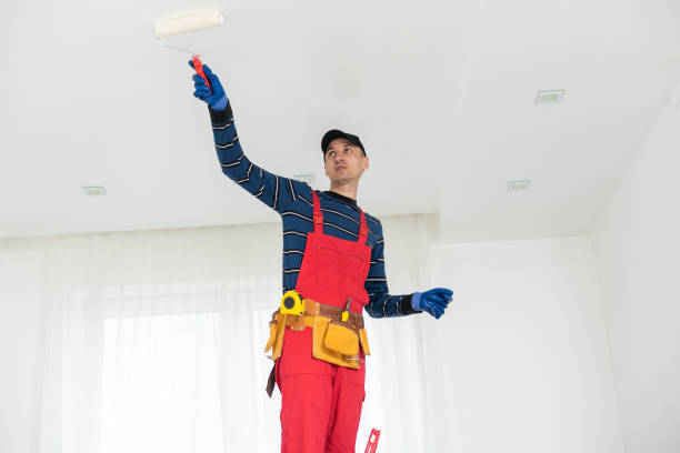 Best Environmental Consulting for Mold Prevention  in Pleasant Grove, OH