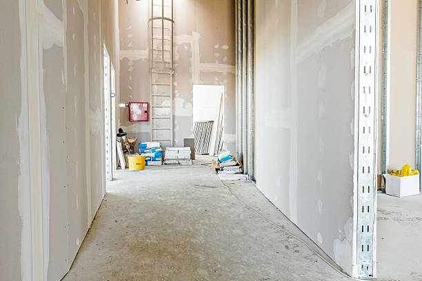 Forensic Mold Investigation in Pleasant Grove, OH